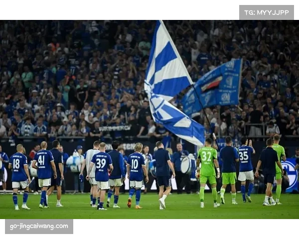 沙尔克04德乙征程艰难 球迷期待球队早日重返德甲赛场